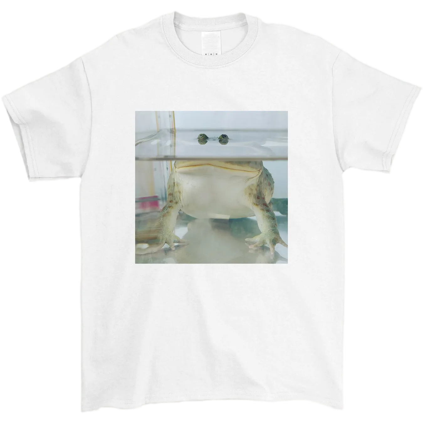 Frog in water t-shirt